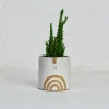 Mini Succulent Pot in White / Rainbow by Atelier Stella