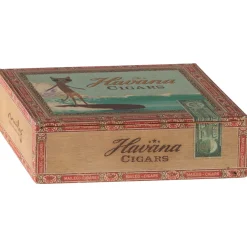 Mum and Dad Mice in Cigarbox by Maileg