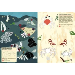 My Nature Sticker Activity Book: At The Seashore by Olivia Cosneau