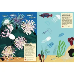 My Nature Sticker Activity Book: At The Seashore by Olivia Cosneau