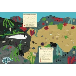 My Nature Sticker Activity Book: At The Seashore by Olivia Cosneau