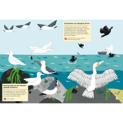 My Nature Sticker Activity Book: At The Seashore by Olivia Cosneau