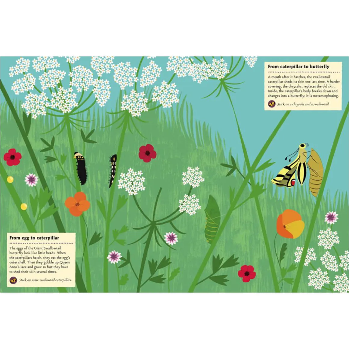 My Nature Sticker Activity Book: Butterflies of the World by Olivia Cosneau