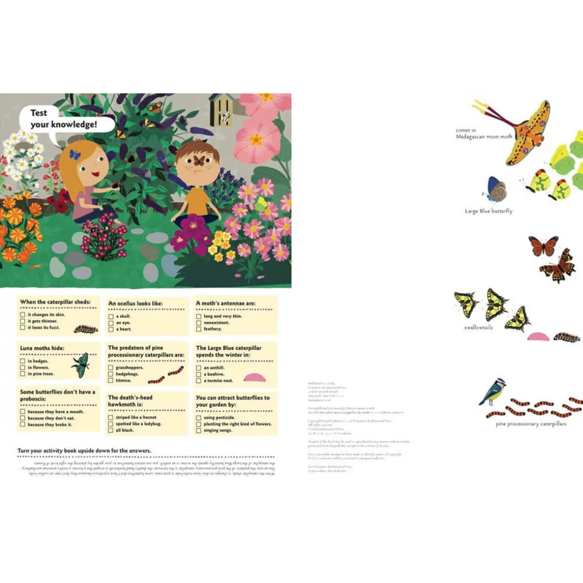 My Nature Sticker Activity Book: Butterflies of the World by Olivia Cosneau