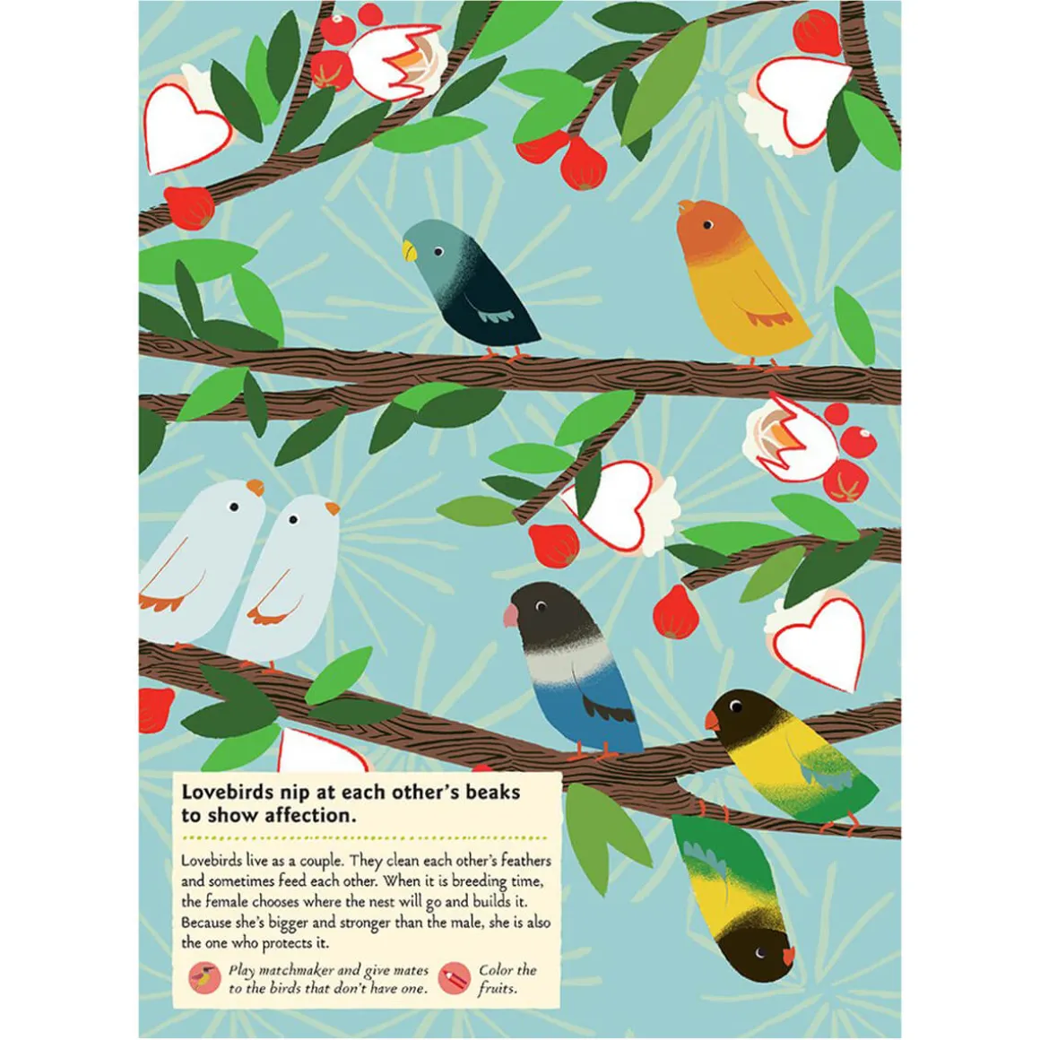 My Nature Sticker Activity Book: Birds of the World by Olivia Cosneau