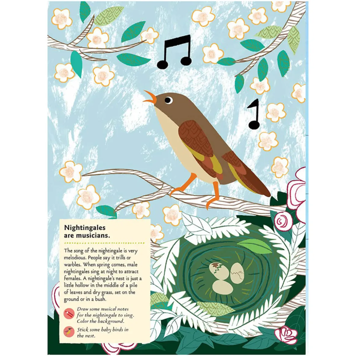 My Nature Sticker Activity Book: Birds of the World by Olivia Cosneau