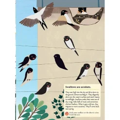 My Nature Sticker Activity Book: Birds of the World by Olivia Cosneau