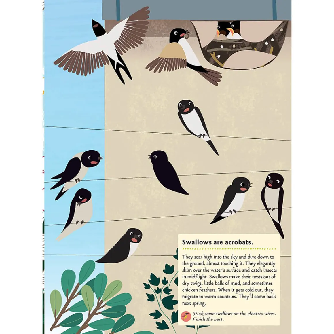My Nature Sticker Activity Book: Birds of the World by Olivia Cosneau