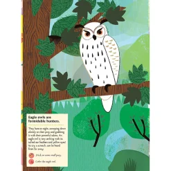 My Nature Sticker Activity Book: Birds of the World by Olivia Cosneau