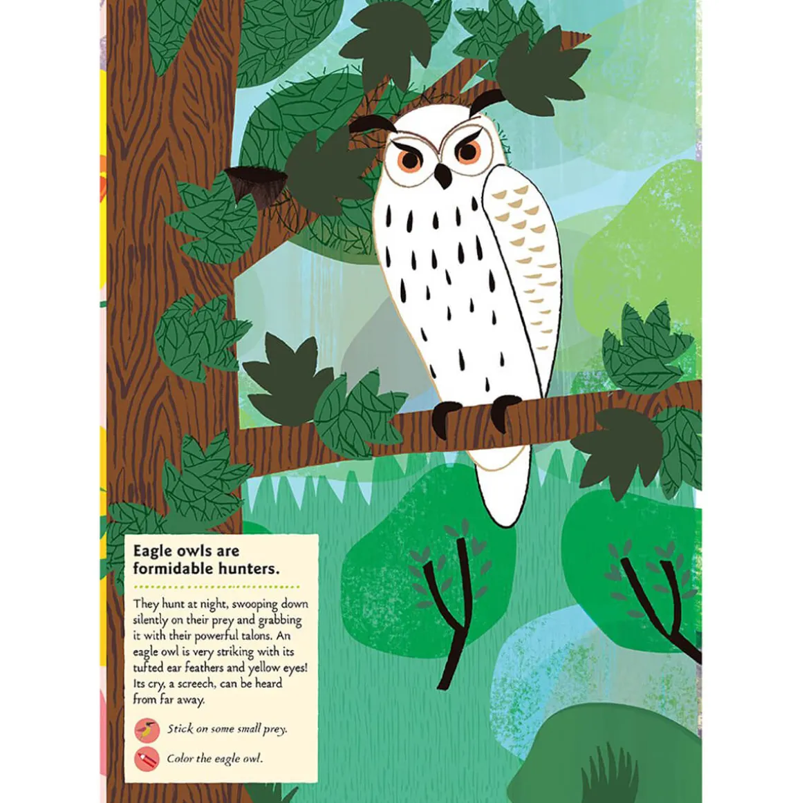 My Nature Sticker Activity Book: Birds of the World by Olivia Cosneau