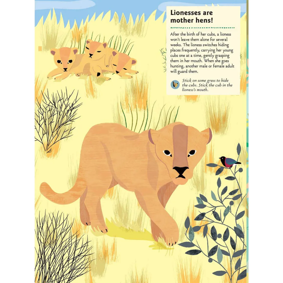 My Nature Sticker Activity Book: Animals Of The Savannah by Olivia Cosneau