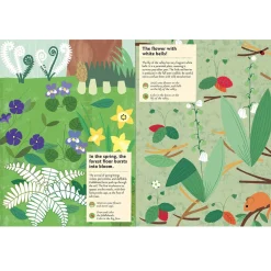 My Nature Sticker Activity Book: In The Forest by Olivia Cosneau