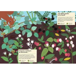 My Nature Sticker Activity Book: In The Forest by Olivia Cosneau