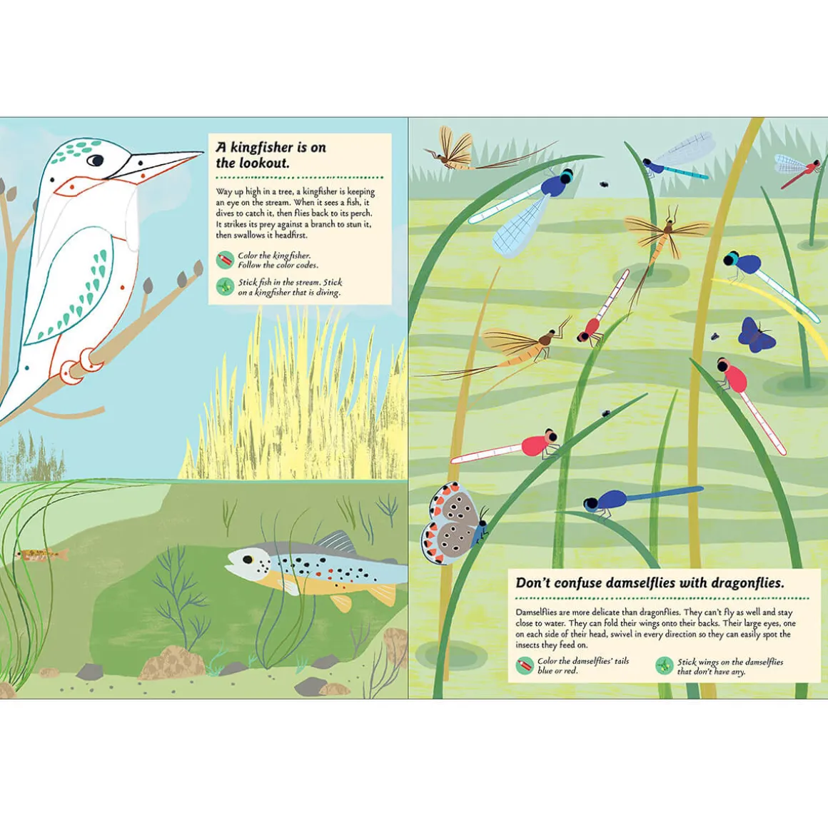 My Nature Sticker Activity Book: Streams and Ponds by Olivia Cosneau