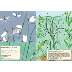 My Nature Sticker Activity Book: Streams and Ponds by Olivia Cosneau
