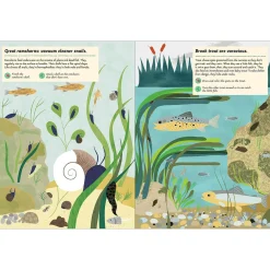 My Nature Sticker Activity Book: Streams and Ponds by Olivia Cosneau