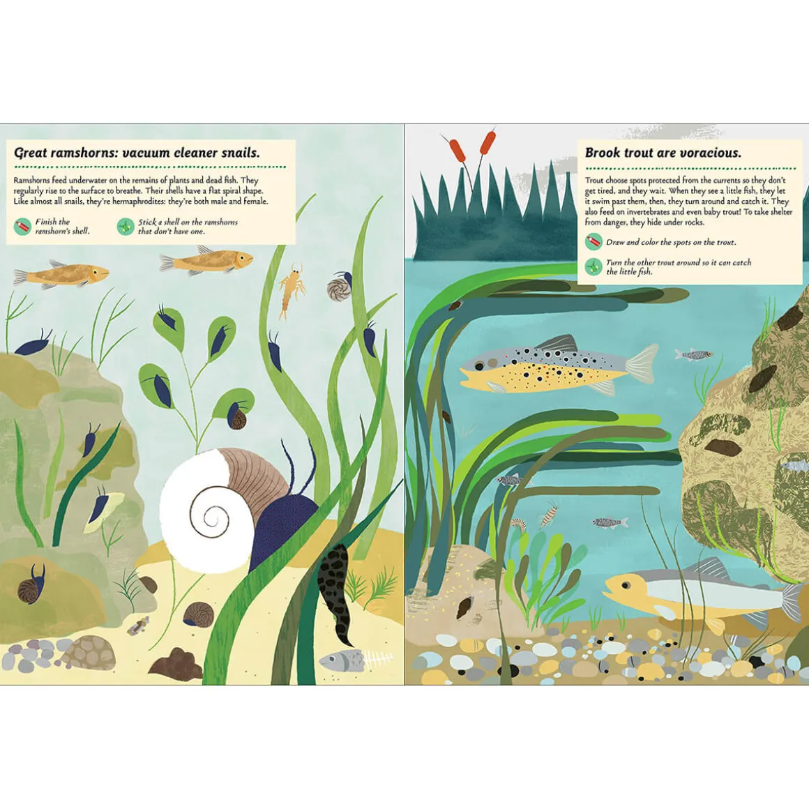 My Nature Sticker Activity Book: Streams and Ponds by Olivia Cosneau