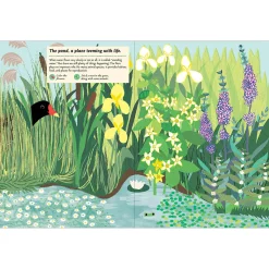 My Nature Sticker Activity Book: Streams and Ponds by Olivia Cosneau