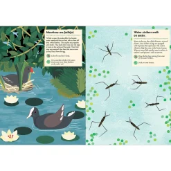 My Nature Sticker Activity Book: Streams and Ponds by Olivia Cosneau
