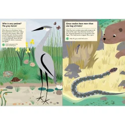 My Nature Sticker Activity Book: Streams and Ponds by Olivia Cosneau