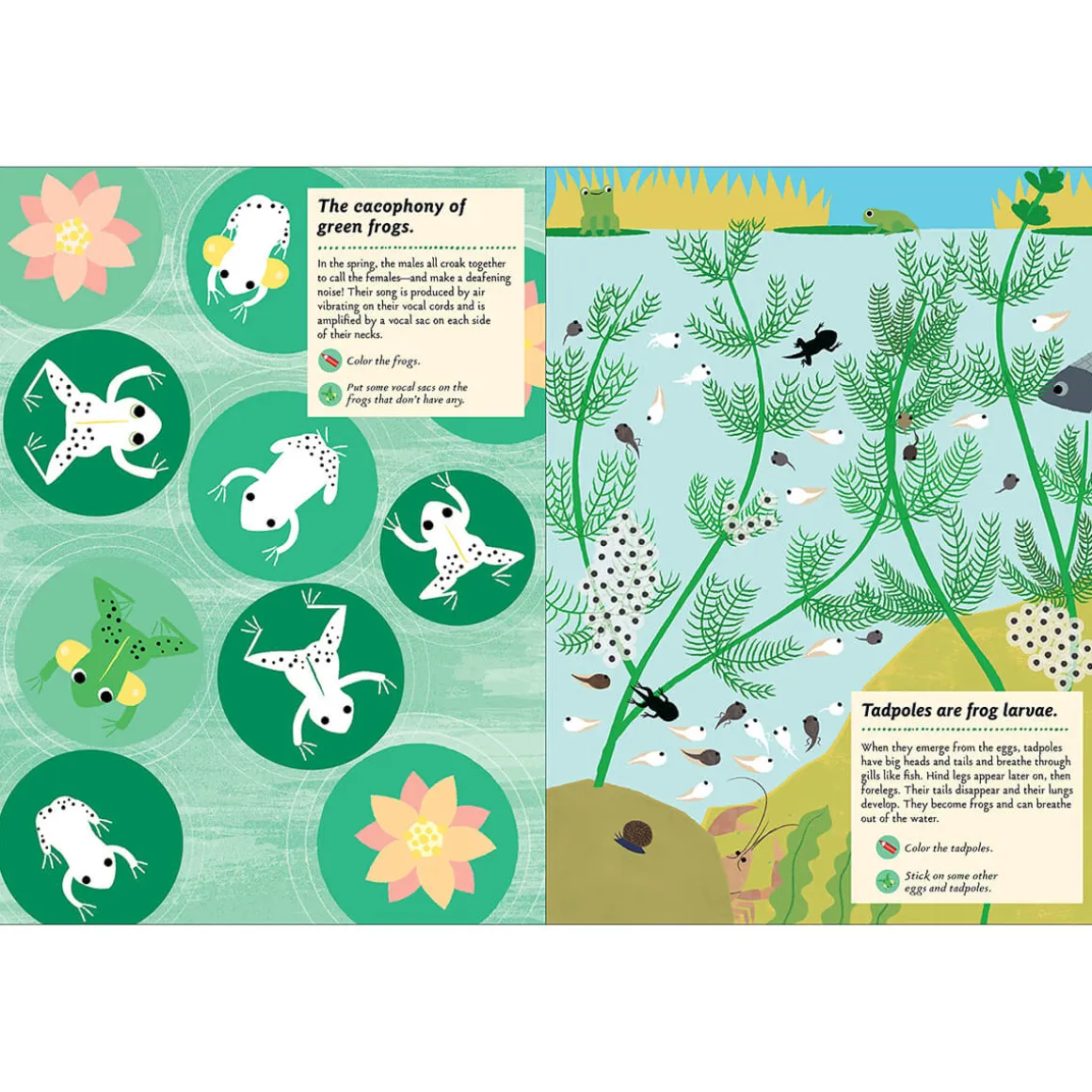 My Nature Sticker Activity Book: Streams and Ponds by Olivia Cosneau