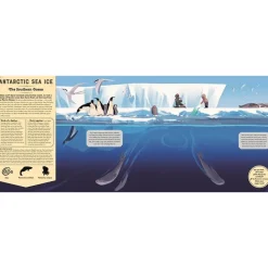 Mysteries Of The Ocean by Camilla de la Bédoyère
