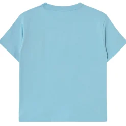 Nella Natura Graphic Tee in Dusty Blue by Tinycottons