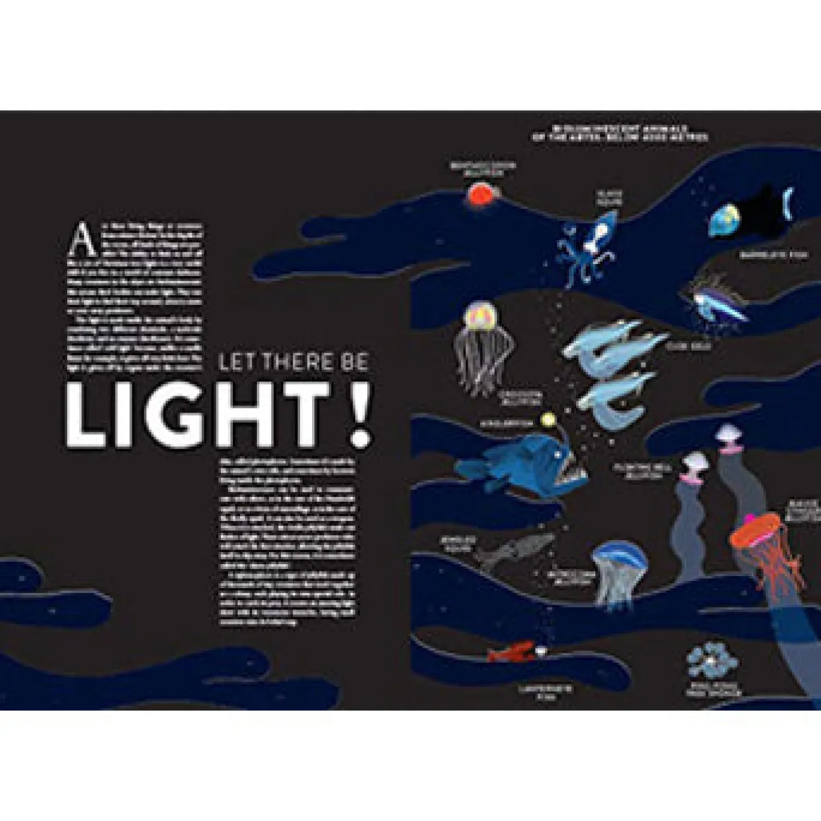 Ocean by Hélène Druvert & Emmanuelle Grundmann