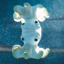 Orlando the Octopus Bath Toy by Oli & Carol