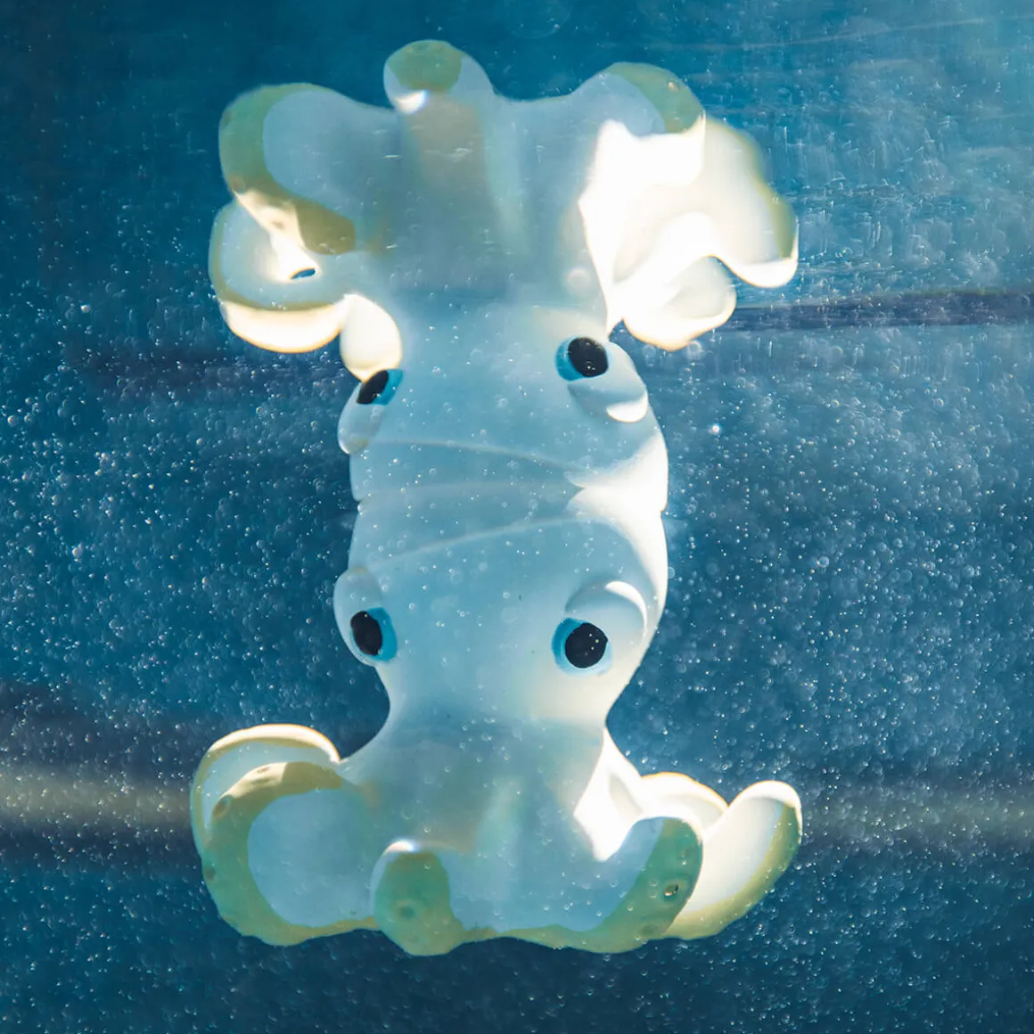 Orlando the Octopus Bath Toy by Oli & Carol