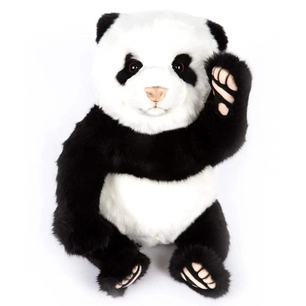Panda Bear (33cm) by Hansa