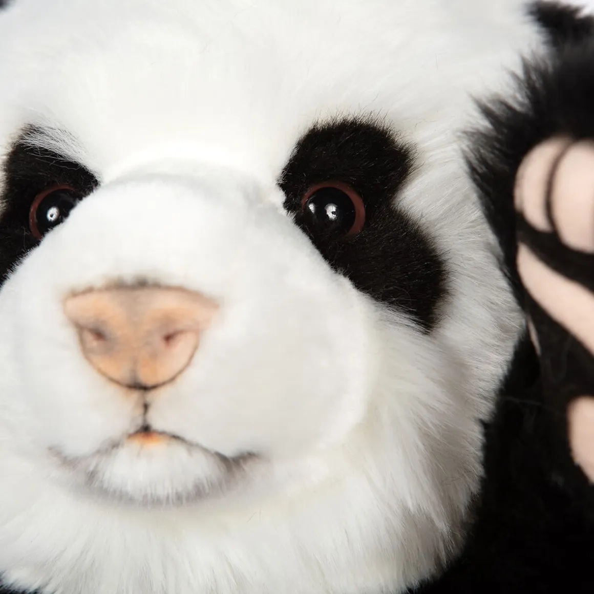 Panda Bear (33cm) by Hansa