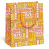 Party Fun Medium Gift Bag By Red Cap Cards