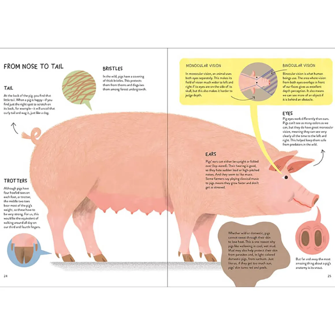 Pigology: The Ultimate Encyclopedia by Camilla Pintonato and Daisy Bird
