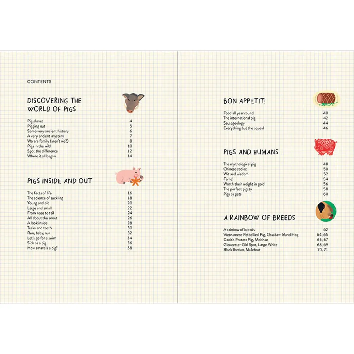 Pigology: The Ultimate Encyclopedia by Camilla Pintonato and Daisy Bird