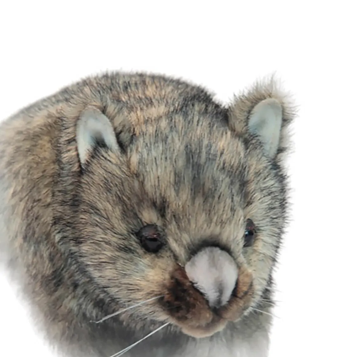 Poseable Wombat (28cm) by Hansa