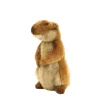 Prairie Dog (18cm) by Hansa