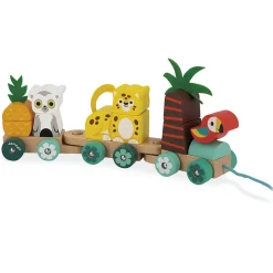 Pull Along Tropical Train by Janod