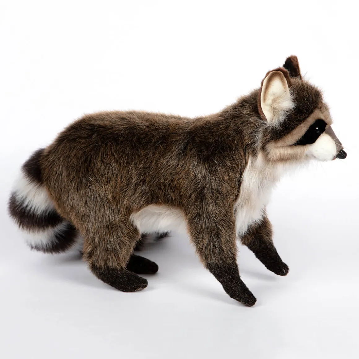 Raccoon Standing (49cm) by Hansa