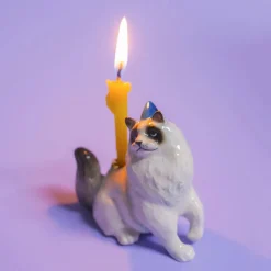 Ragdoll Cat Ceramic Cake Topper by Camp Hollow