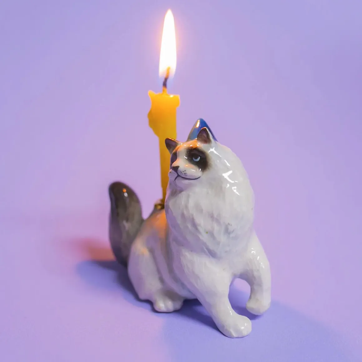 Ragdoll Cat Ceramic Cake Topper by Camp Hollow