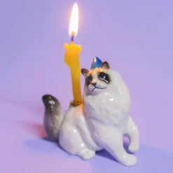 Ragdoll Cat Ceramic Cake Topper by Camp Hollow