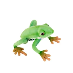 Red Eyed Tree Frog (17cm) by Hansa