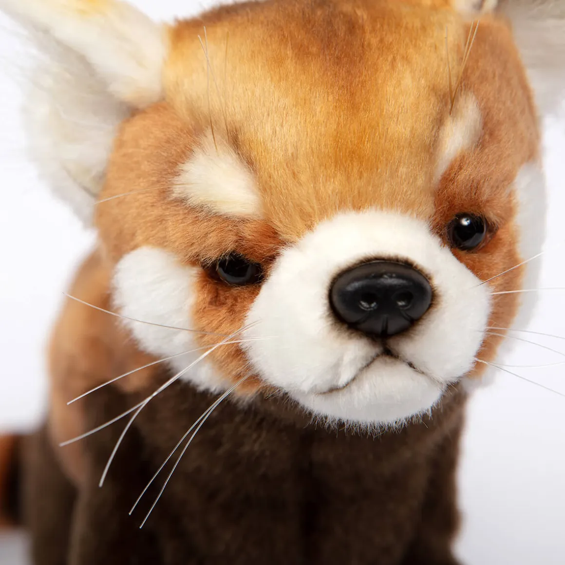 Red Panda Standing (67cm) by Hansa
