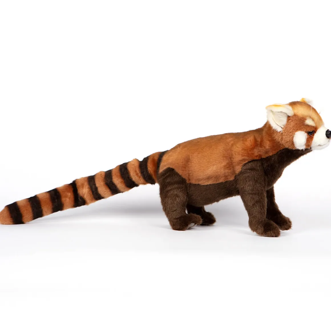 Red Panda Standing (67cm) by Hansa
