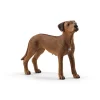 Rhodesian Ridgeback by Schleich