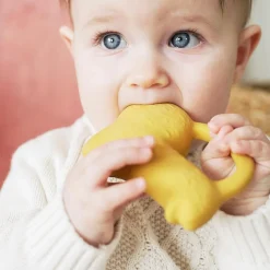Richie Lion Teether by Oli & Carol x Donna Wilson