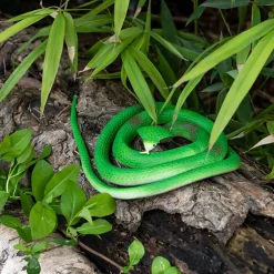 Rubber Cobra Toy by Rex London
