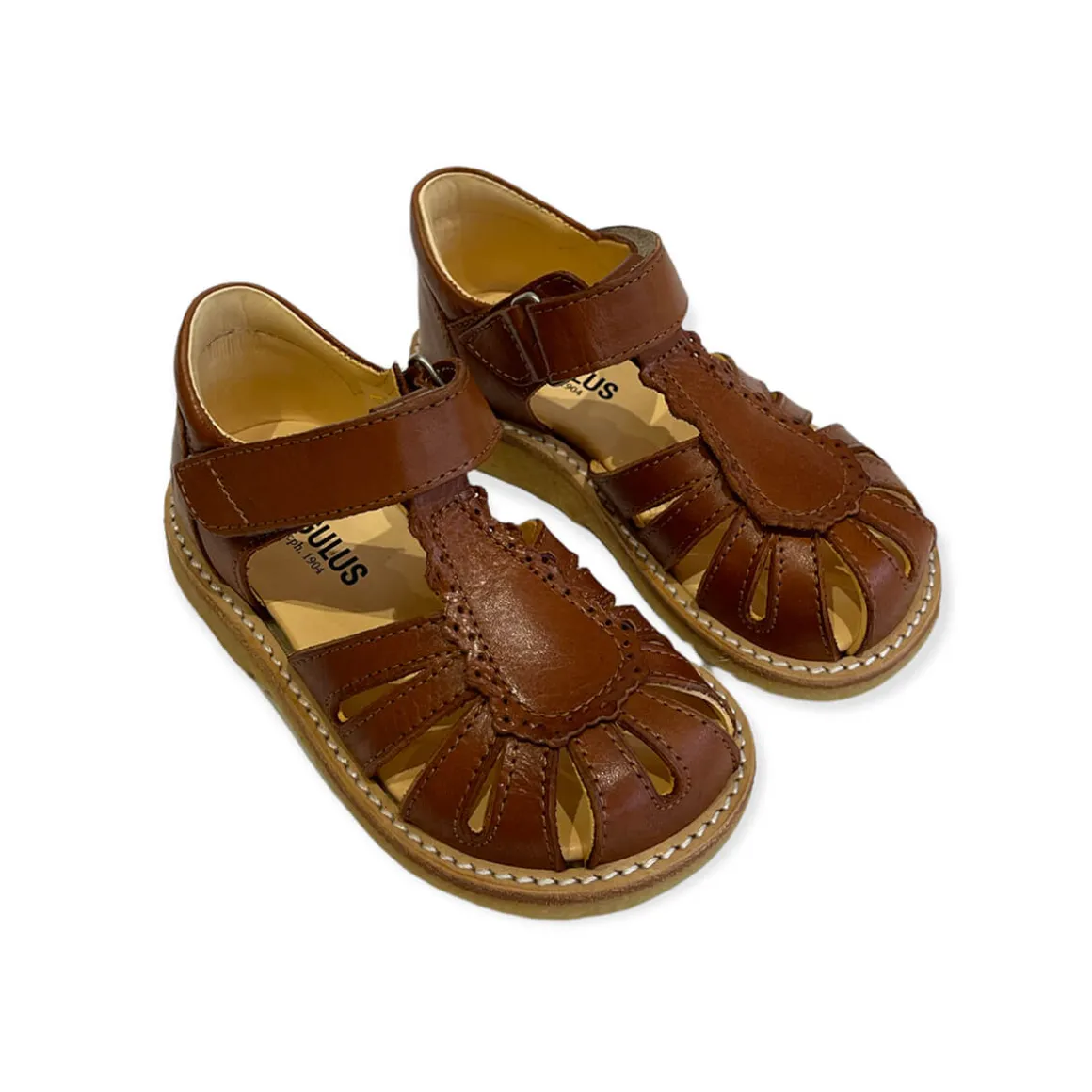 Scallop Starter Sandals in Cognac by Angulus