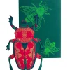 Scarab Beetle Shaped Greetings Card by East End Press